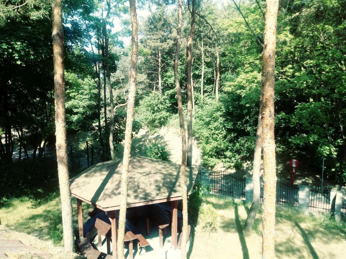 Dom Na Wzgorzu Daire Jastarnia Dış mekan fotoğraf